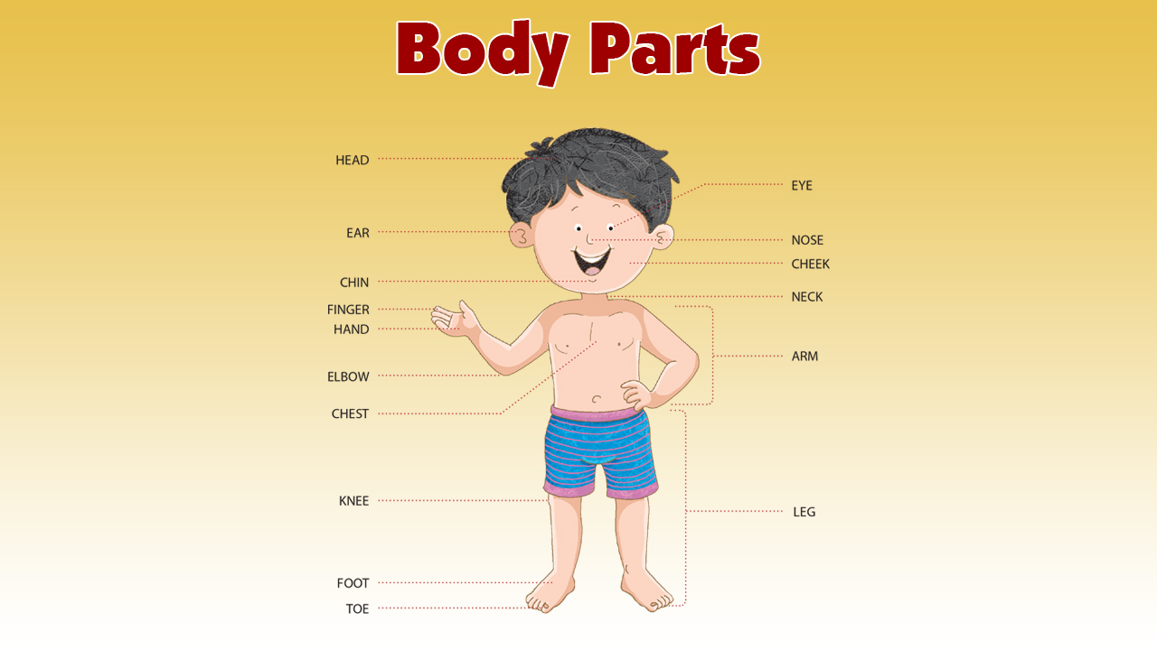 infographic image