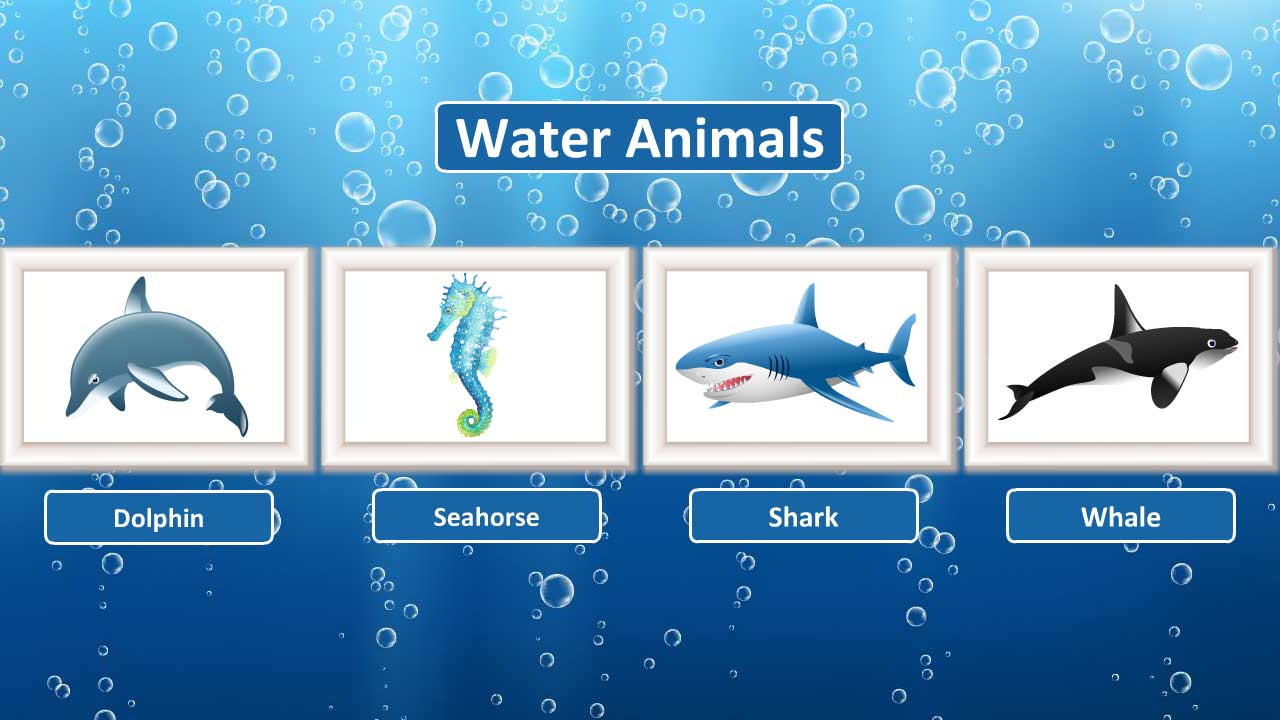 infographic image
