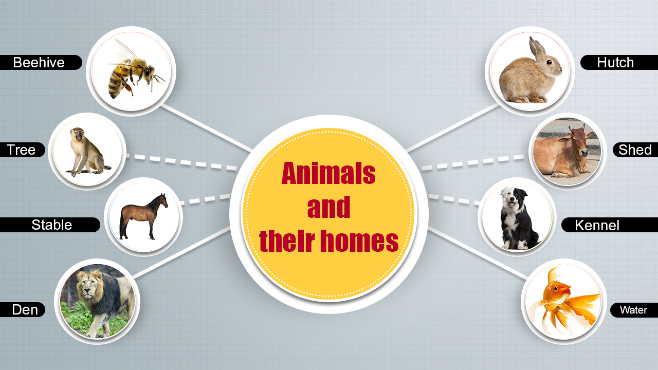 infographic image