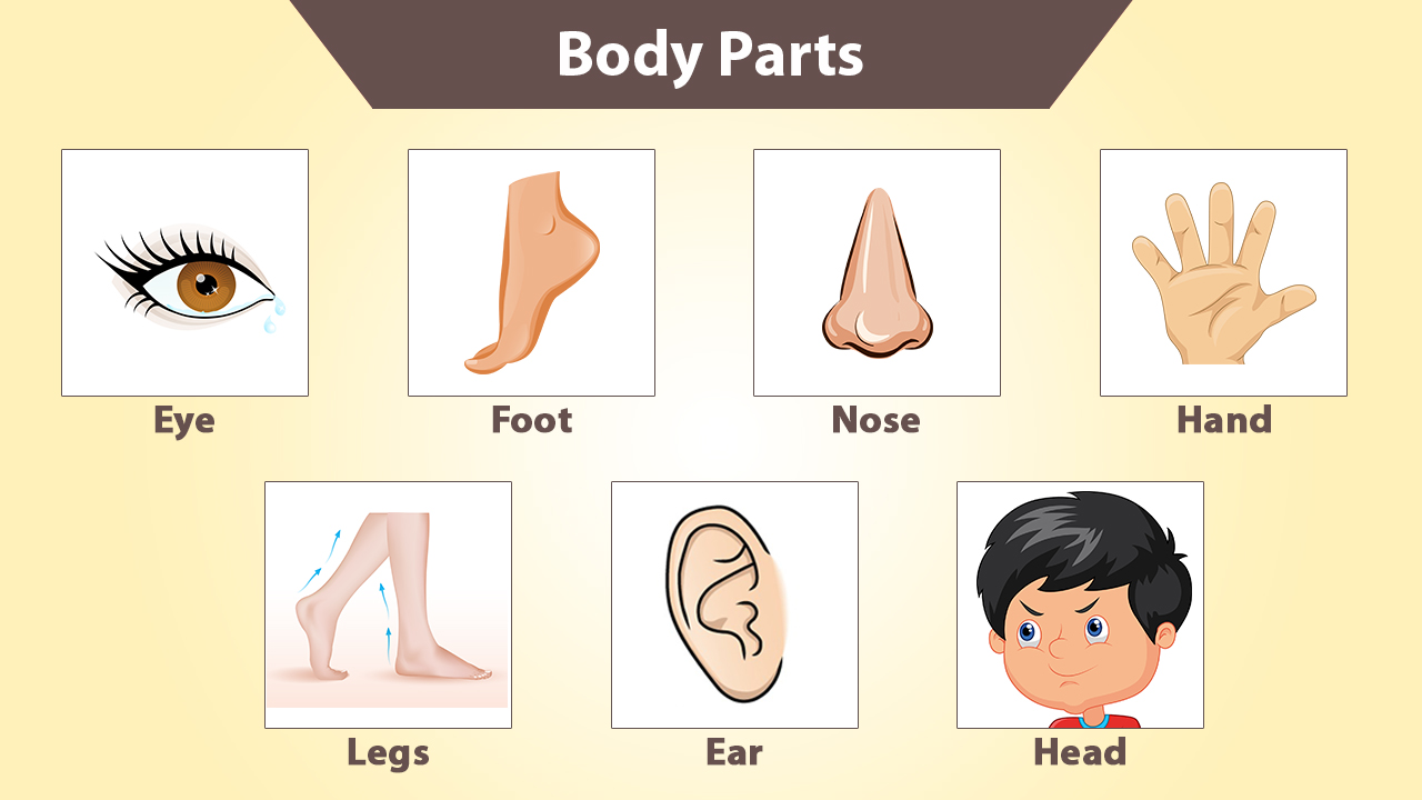 imfographic image
