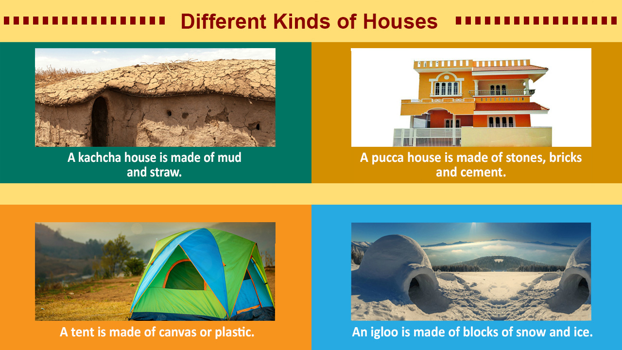 imfographic image