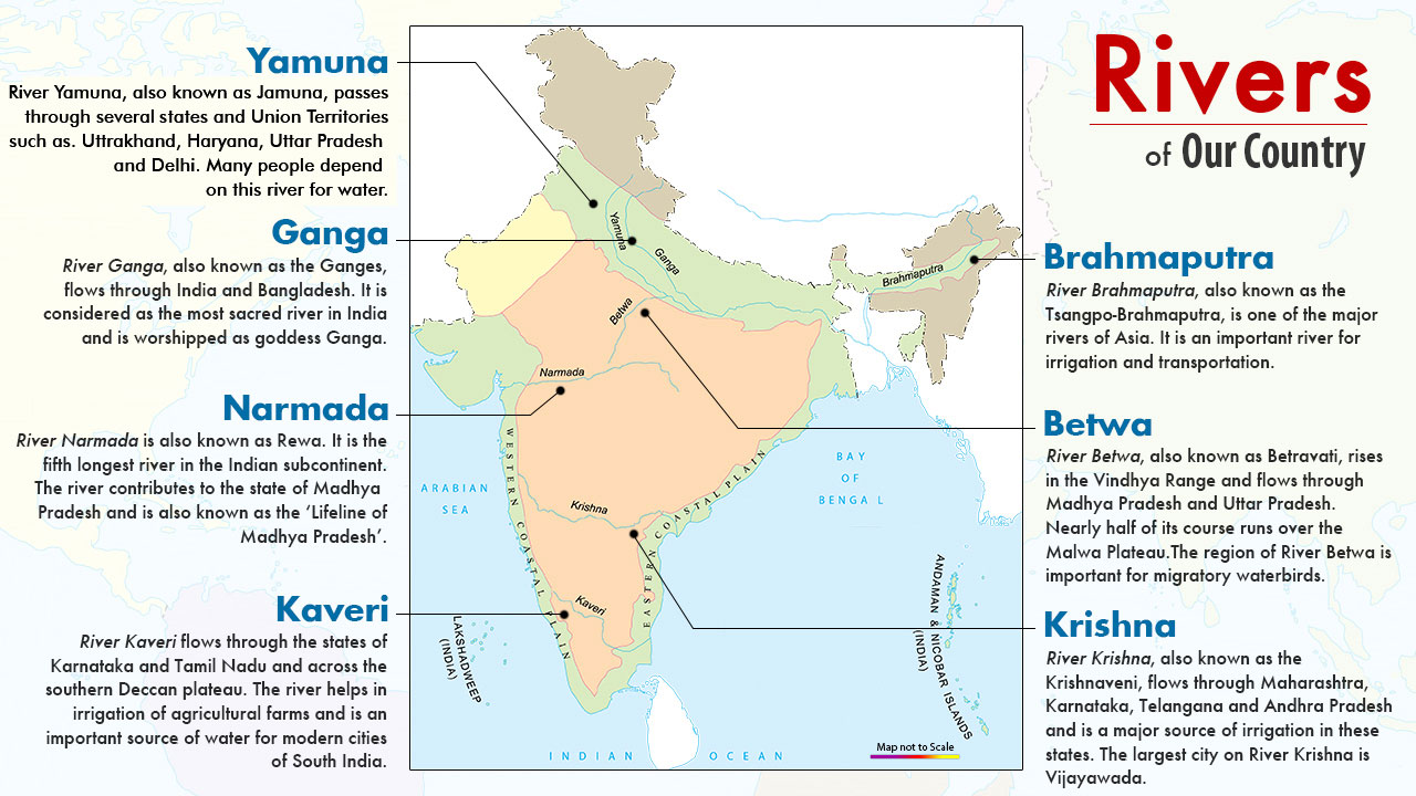 infographic image