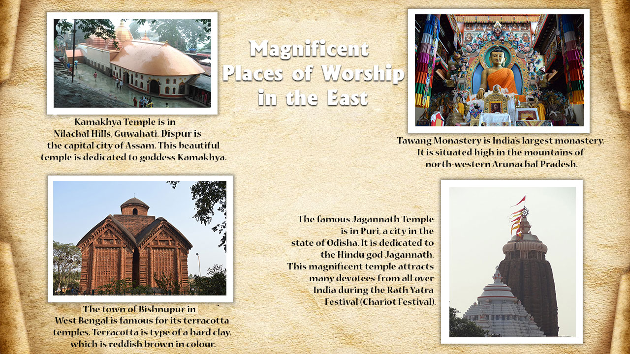infographic image