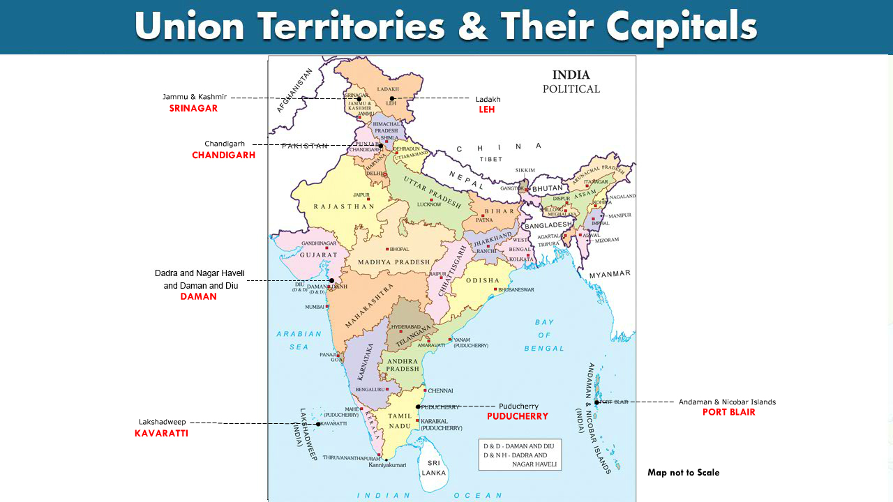 infographic image