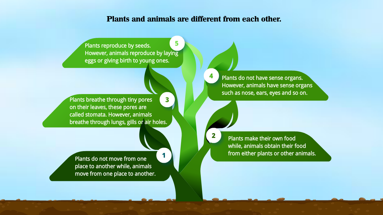 infographic image