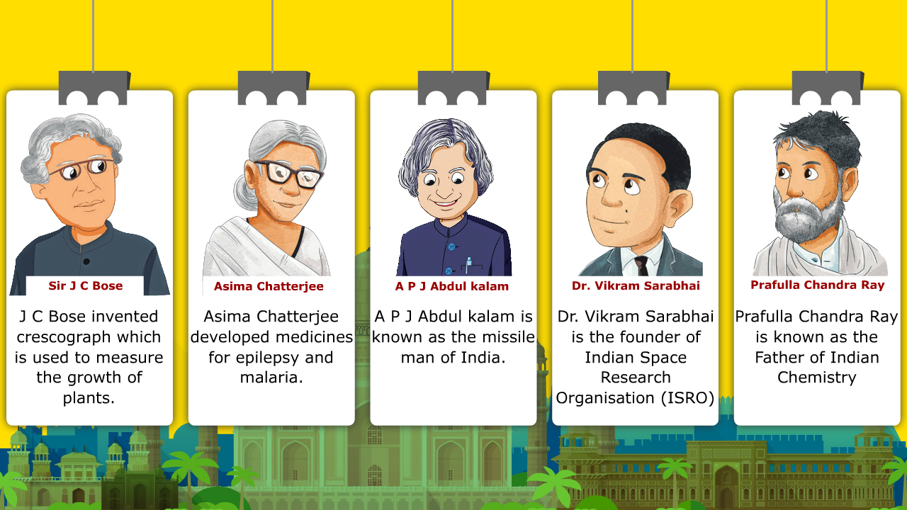 infographic image