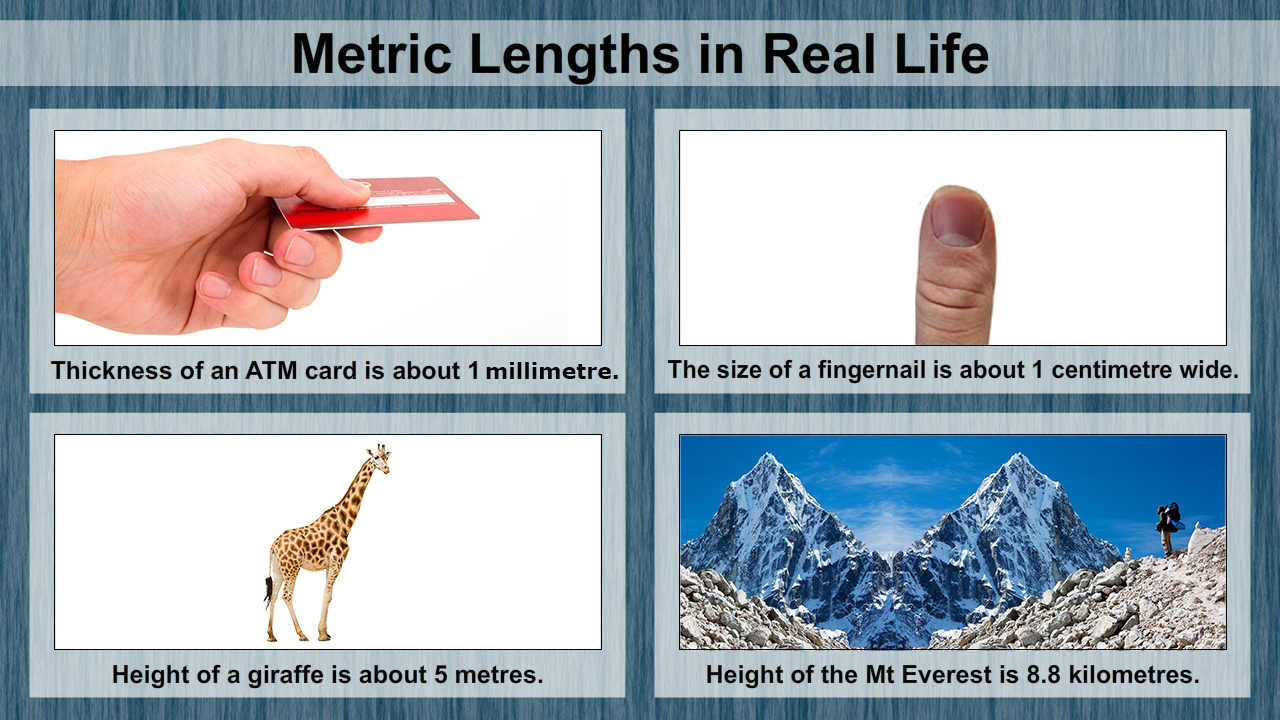 infographic image
