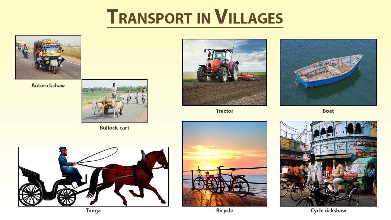 infographic image