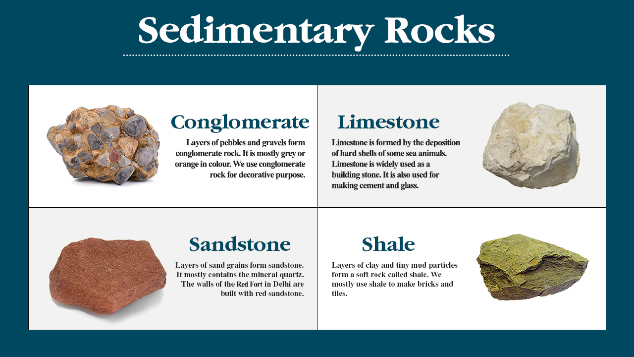 infographic image