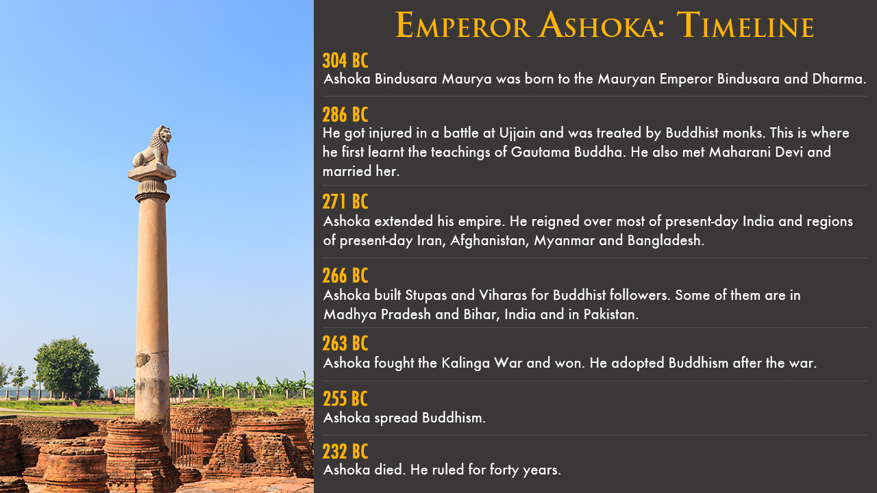 infographic image