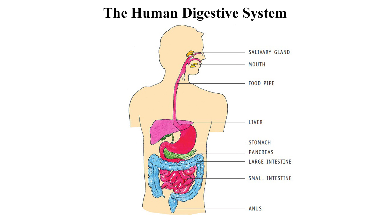 imfographic image