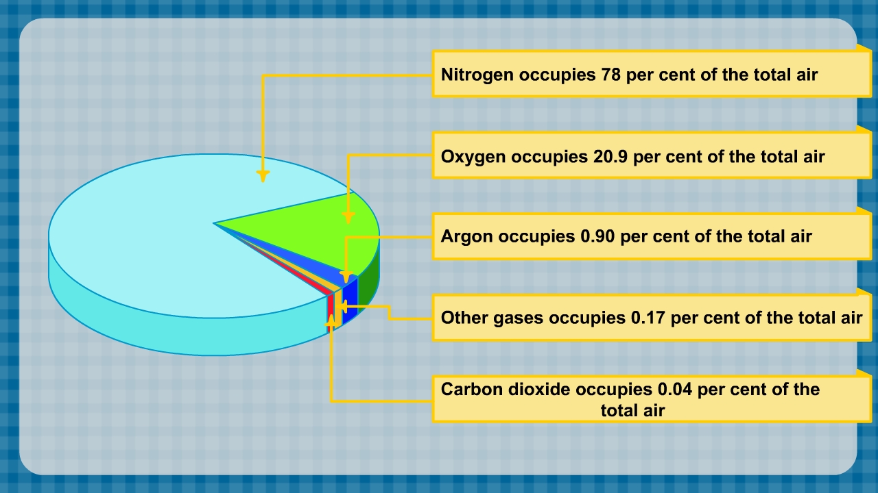 infographic image