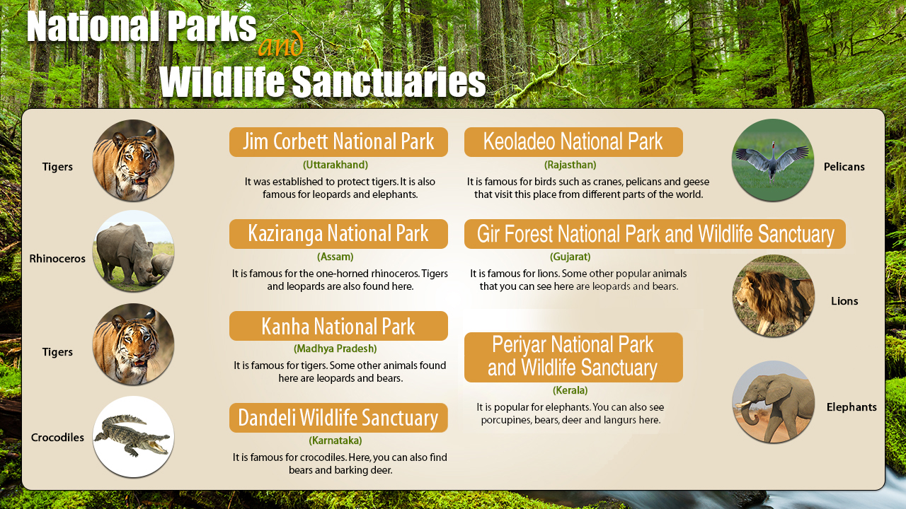 infographic image