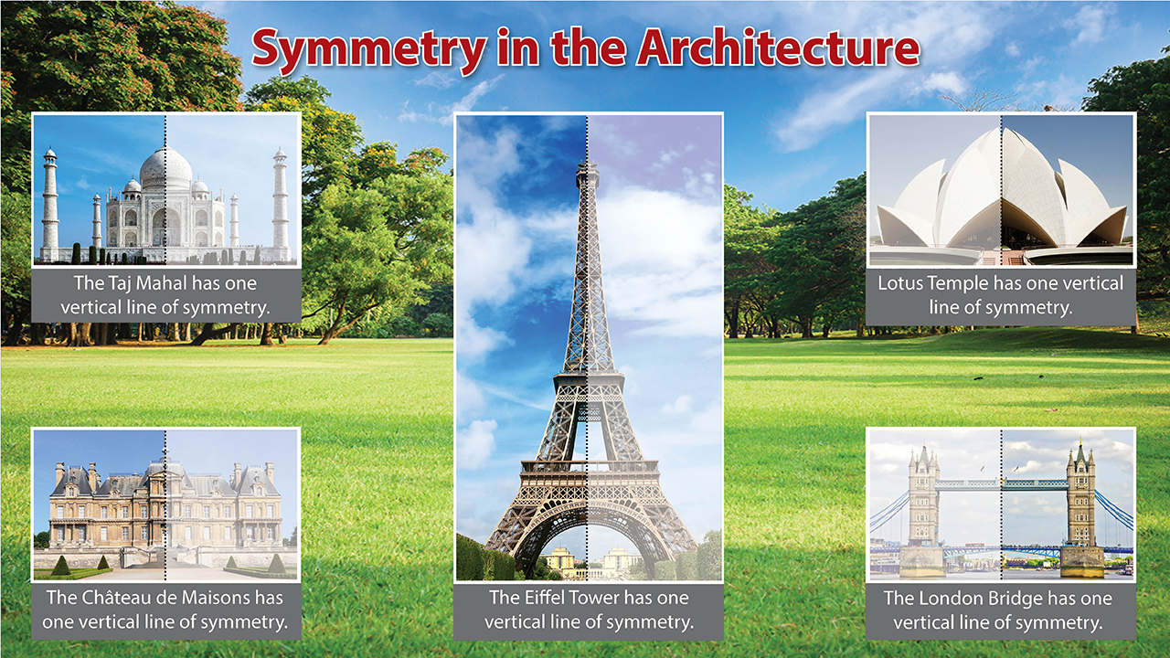 infographic image