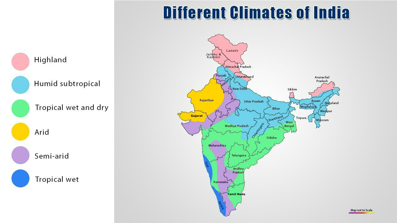 infographic image