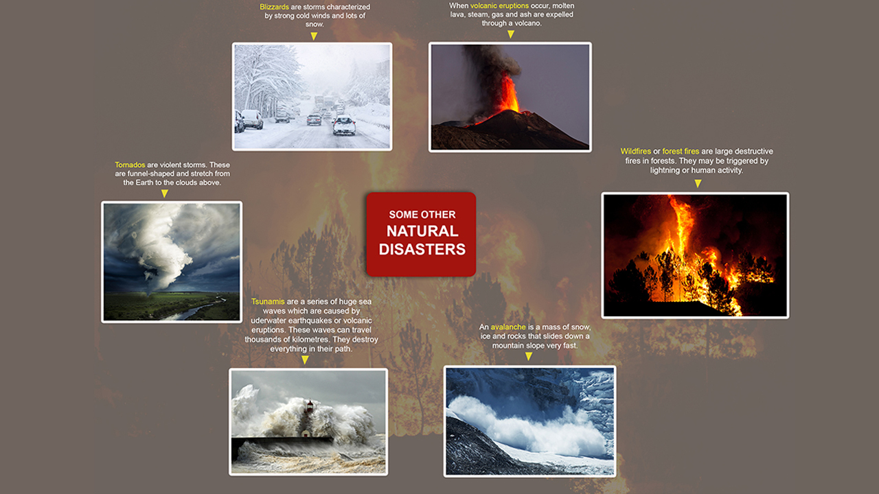 infographic image