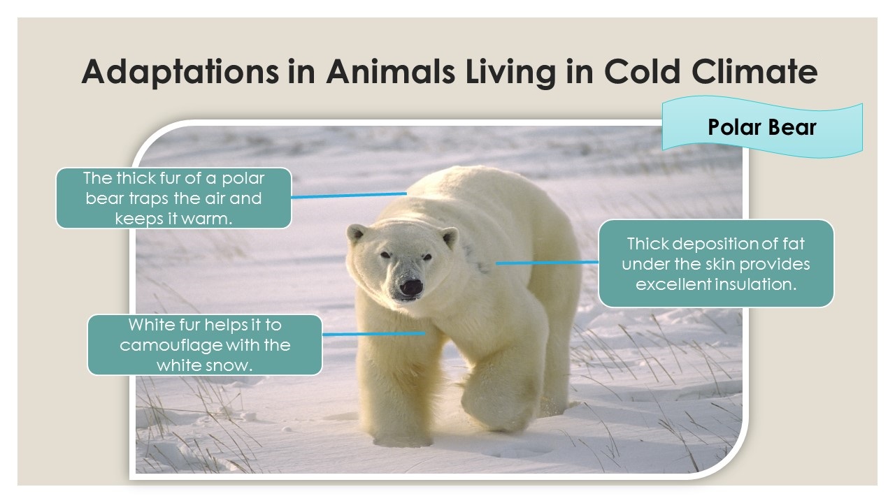 infographic image