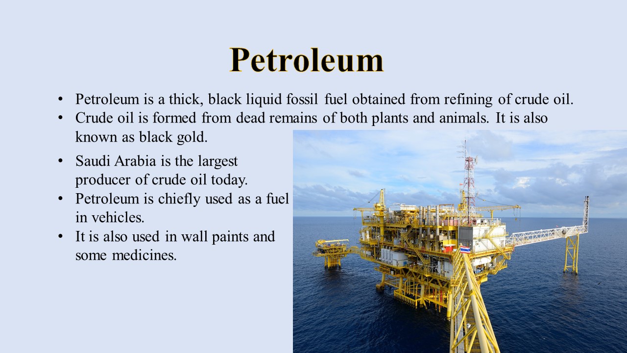 infographic image