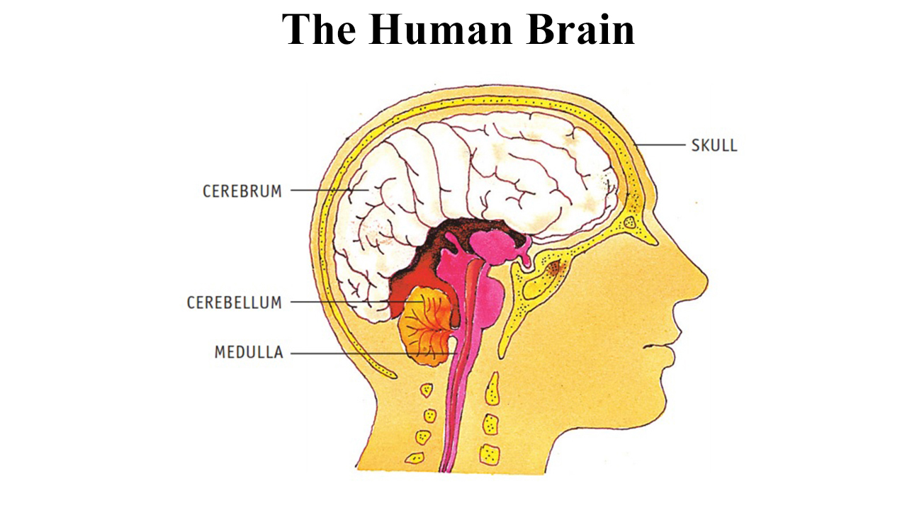 imfographic image