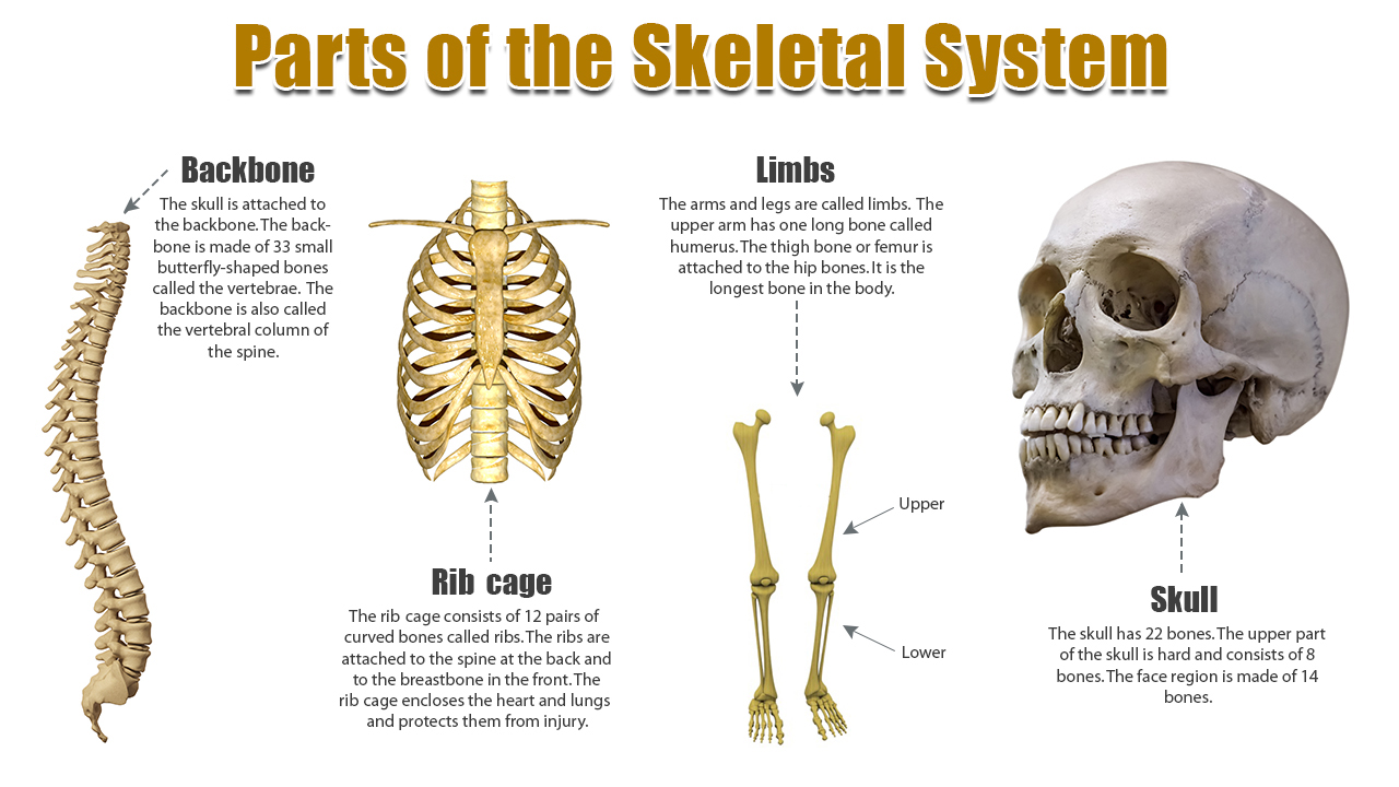 infographic image