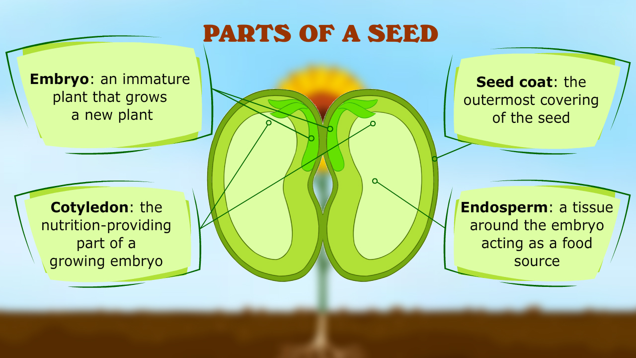 infographic image