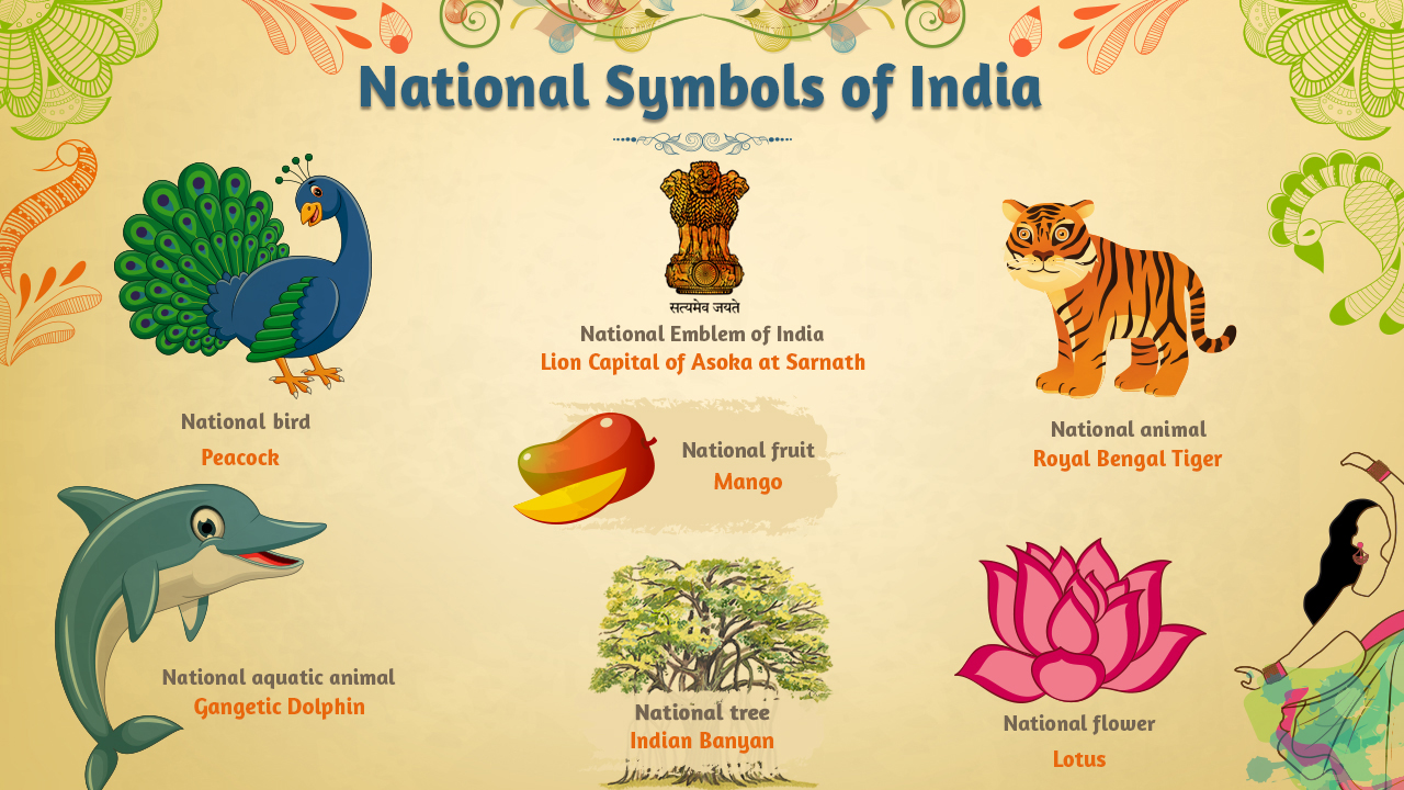 infographic image