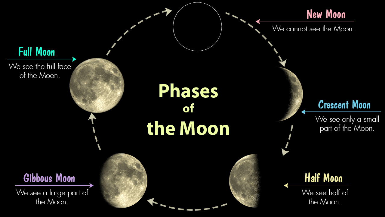 infographic image