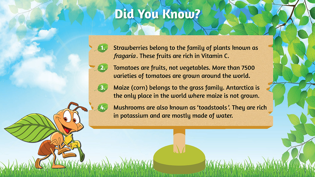 infographic image