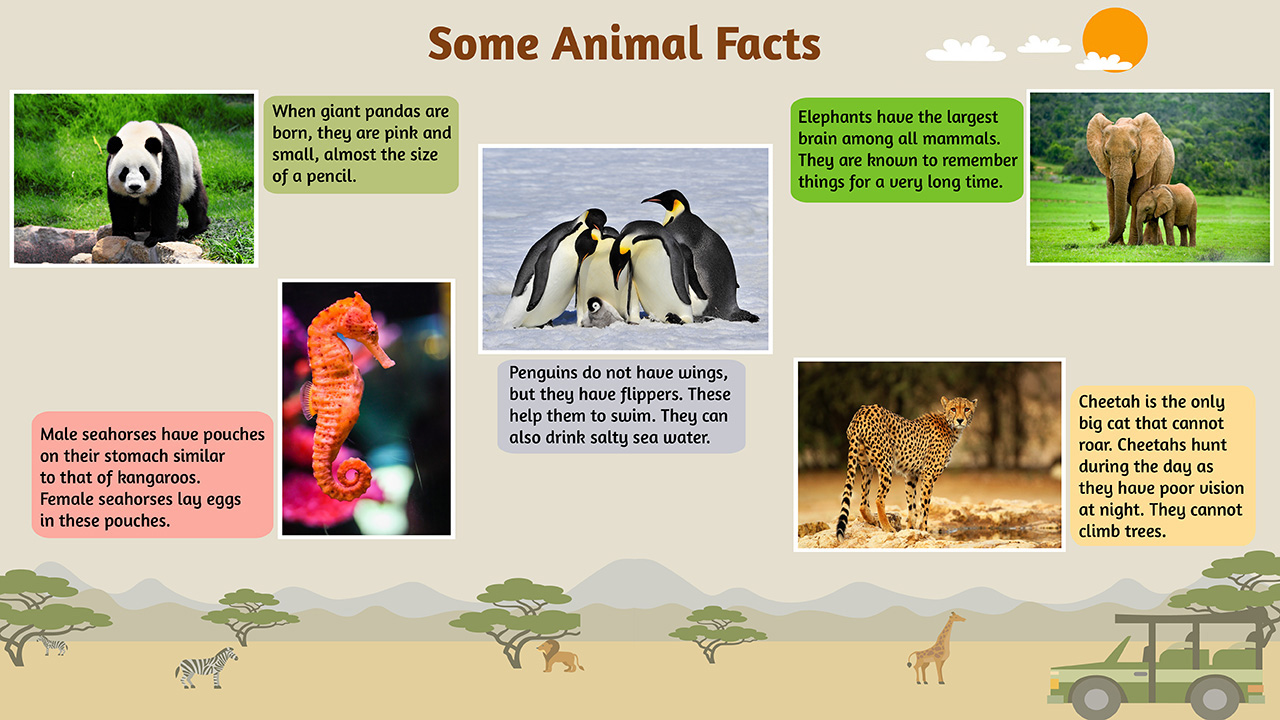 infographic image