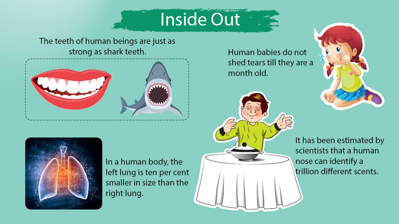 infographic image