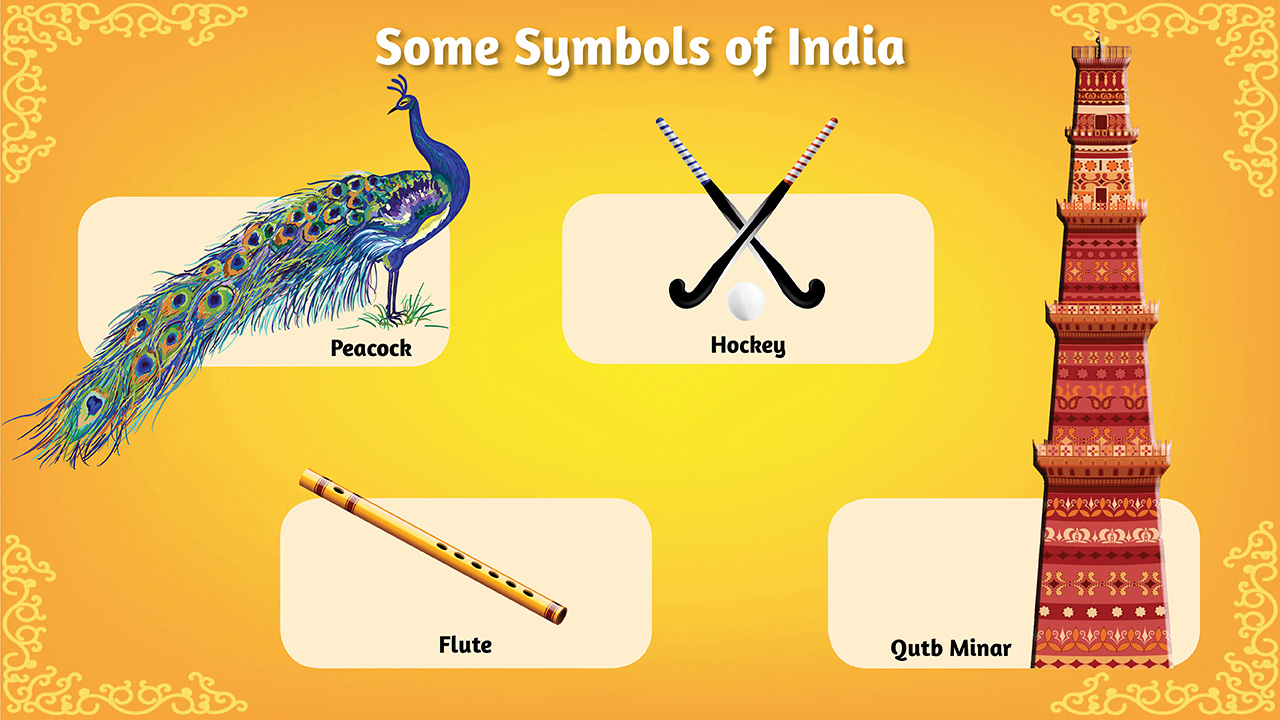 infographic image