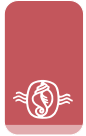 Ratna Sagar Logo